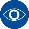 Eye Image